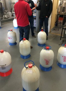 Fermenters out of the warm room.